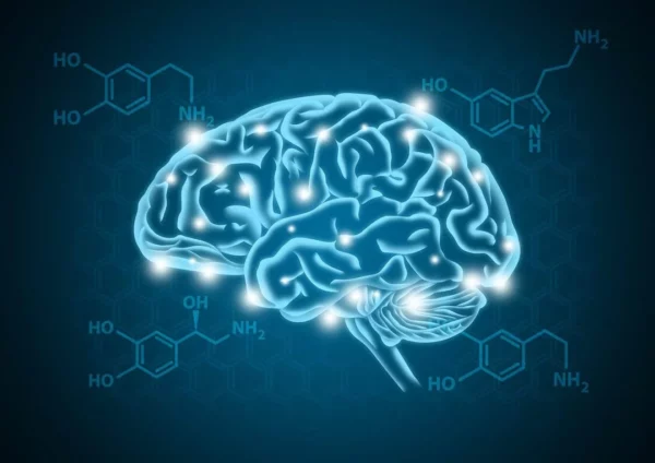 Buscan estimular la dopamina una hormona y neurotransmisor cerebral.