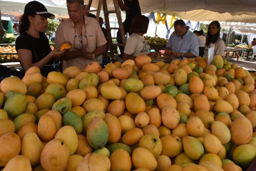 Expo Mango 2025 (2)