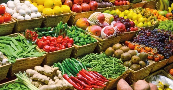Gastronomía sostenible