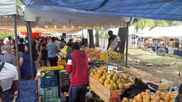Expo Mango 2025