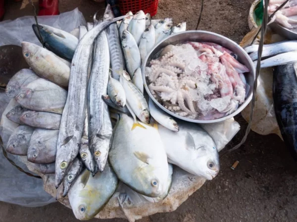 pescado