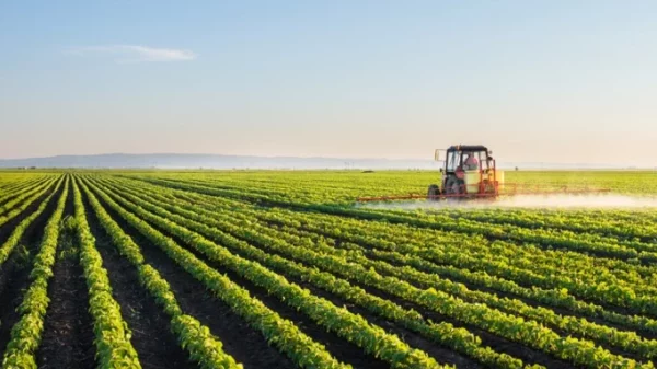 Agricultura