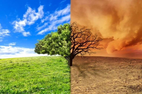 dia-internacional-cambio-climatico