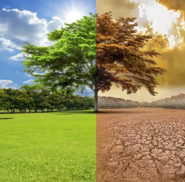Guerras y cambio climático