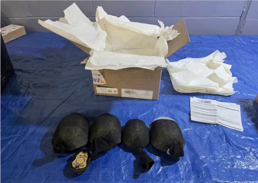 Tortugas de contrabando