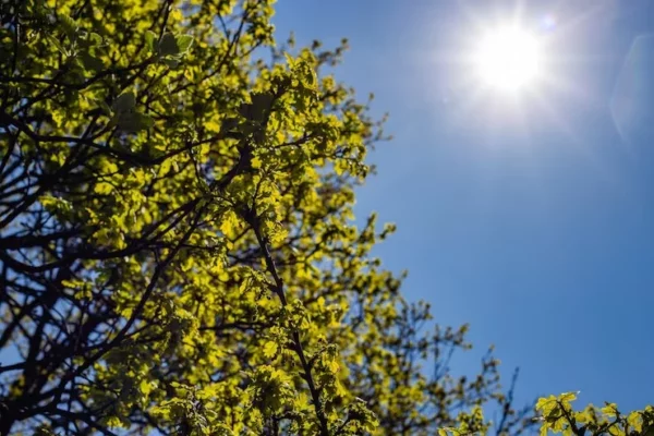 Día soleado