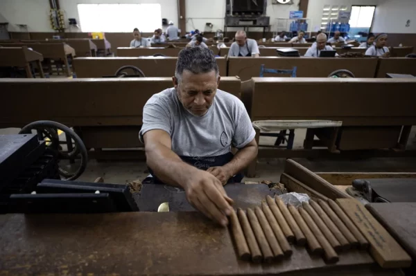 Tabaco dominicano