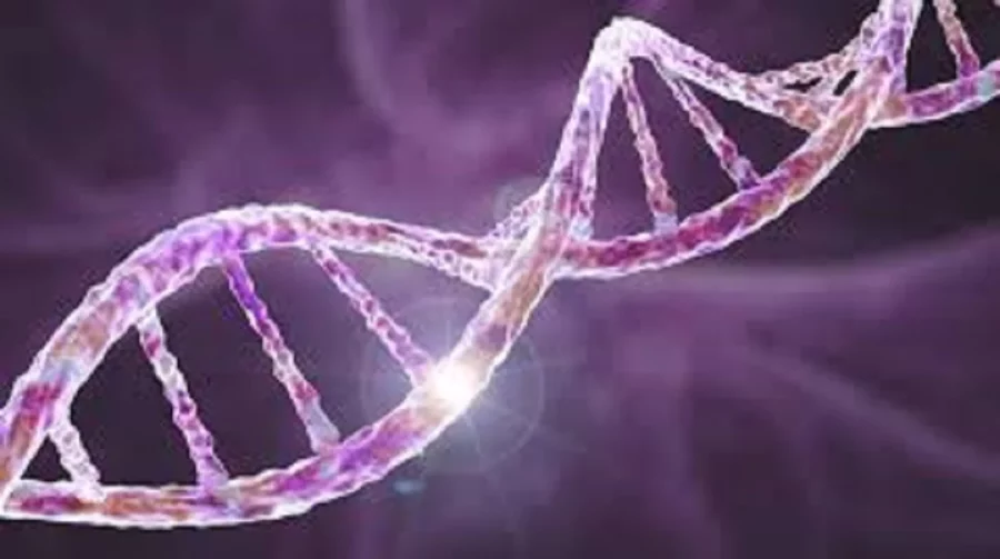 Mayo Clinic revela cambios ocultos en el ADN