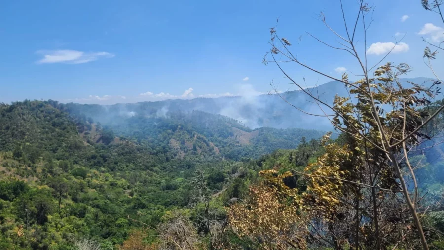 Incendio forestal