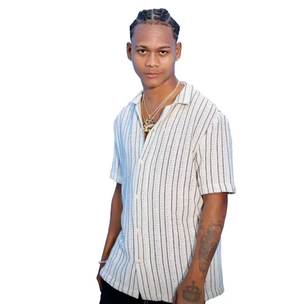 Dalvin La Melodía