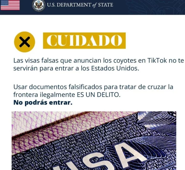 Visa falsa