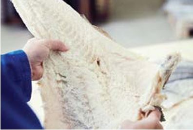 Fomentar una alimentación más organizada y sostenible