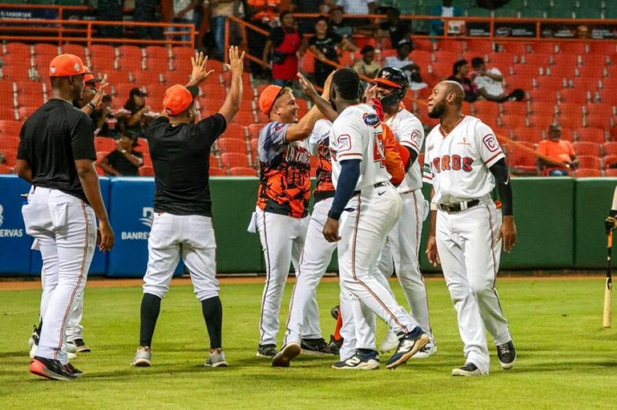 Toros{Leones