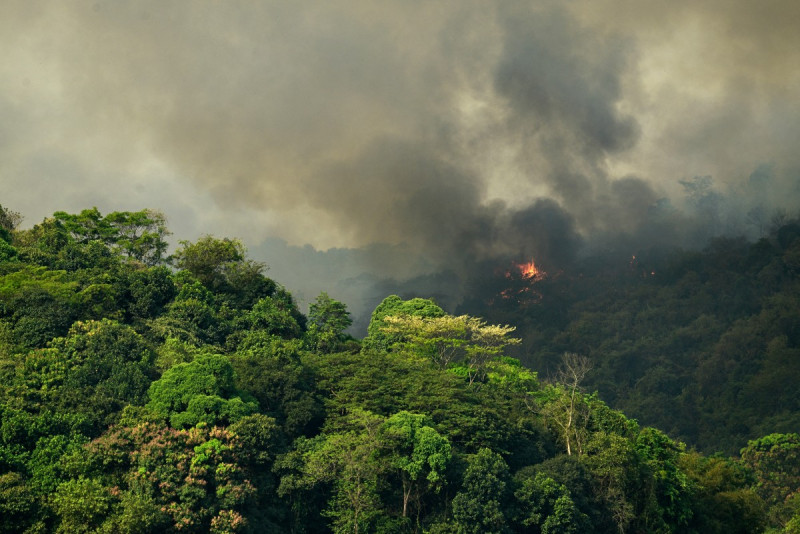 cambio climatico