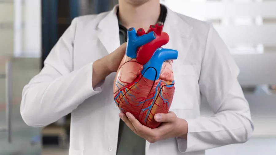 mirial-recursos-estudiar-cardiologia