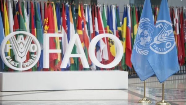 twr_fao_conferenciadf