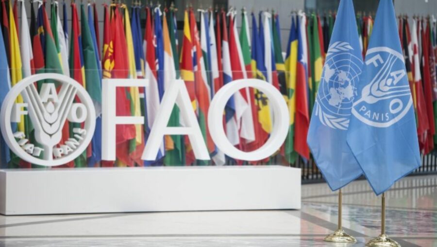 twr_fao_conferenciadf