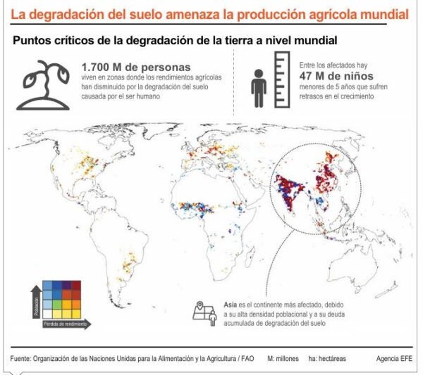 ayuda  alimentaria