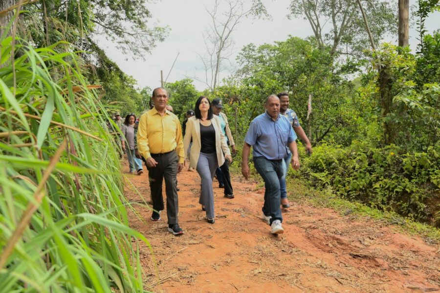 Senadores carretera
