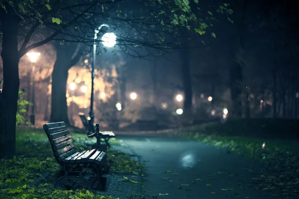depositphotos_17180881-stock-photo-a-night-in-the-park