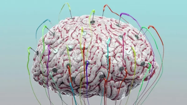 La memoria humana se centra en una región cerebral llamada hipocampo.