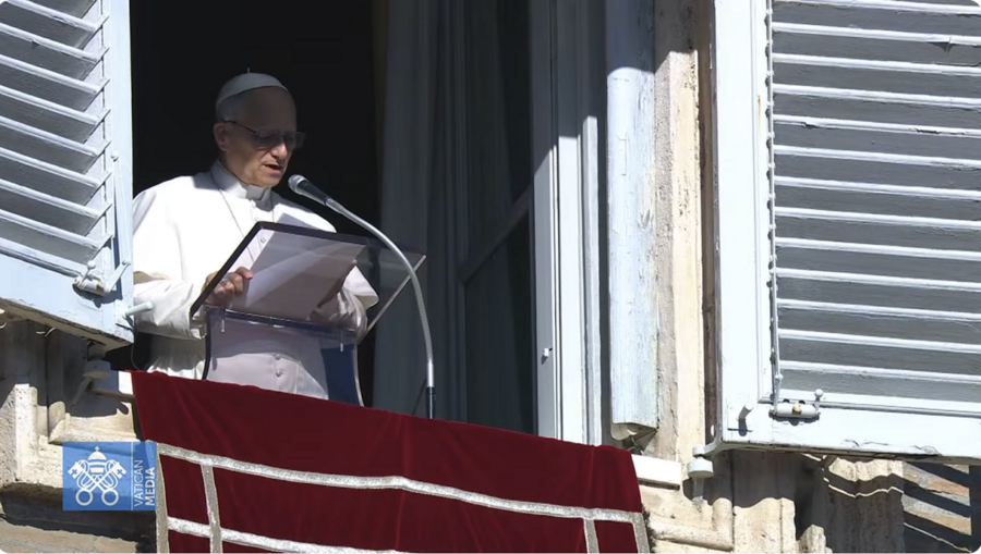 el papa leon