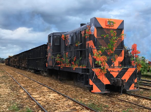 Tren