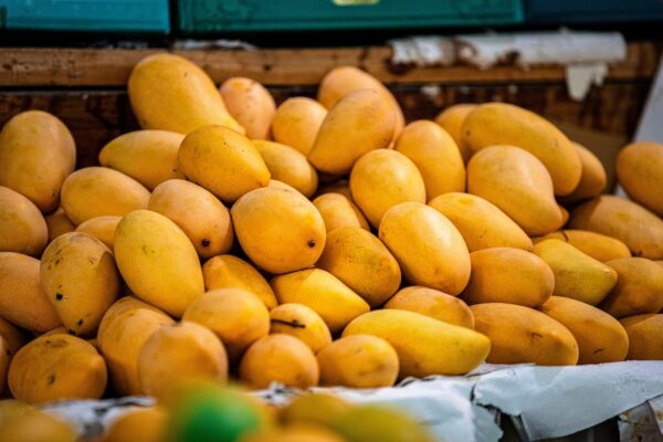 mango-8283268_1280