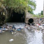 Lluvias en el país elevan riesgo de dengue, leptospirosis y enfermedades gastrointestinales