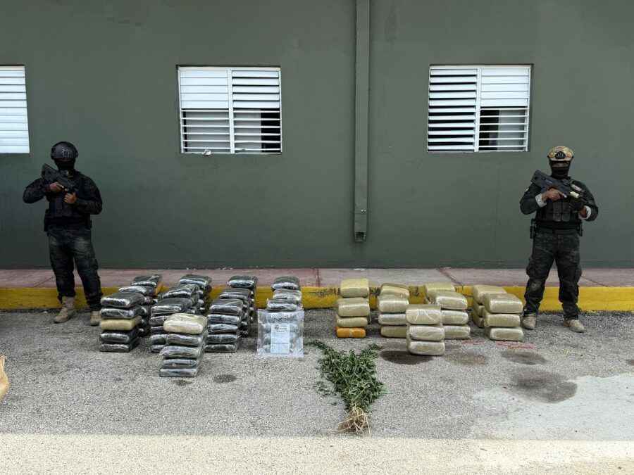 600 libras de marihuana
