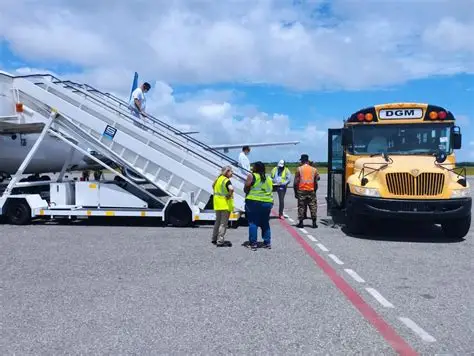 Dominicanos repatriados