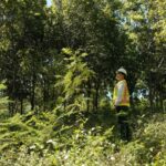CAMIPE: “La modernización de la Ley Minera es la mayor garantía de protección ambiental para el país”