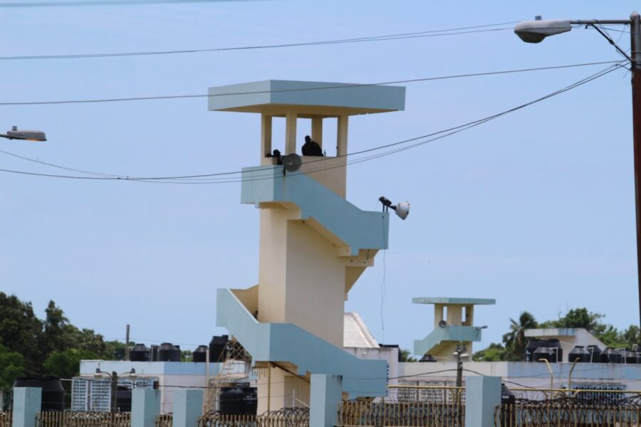 najayo-3